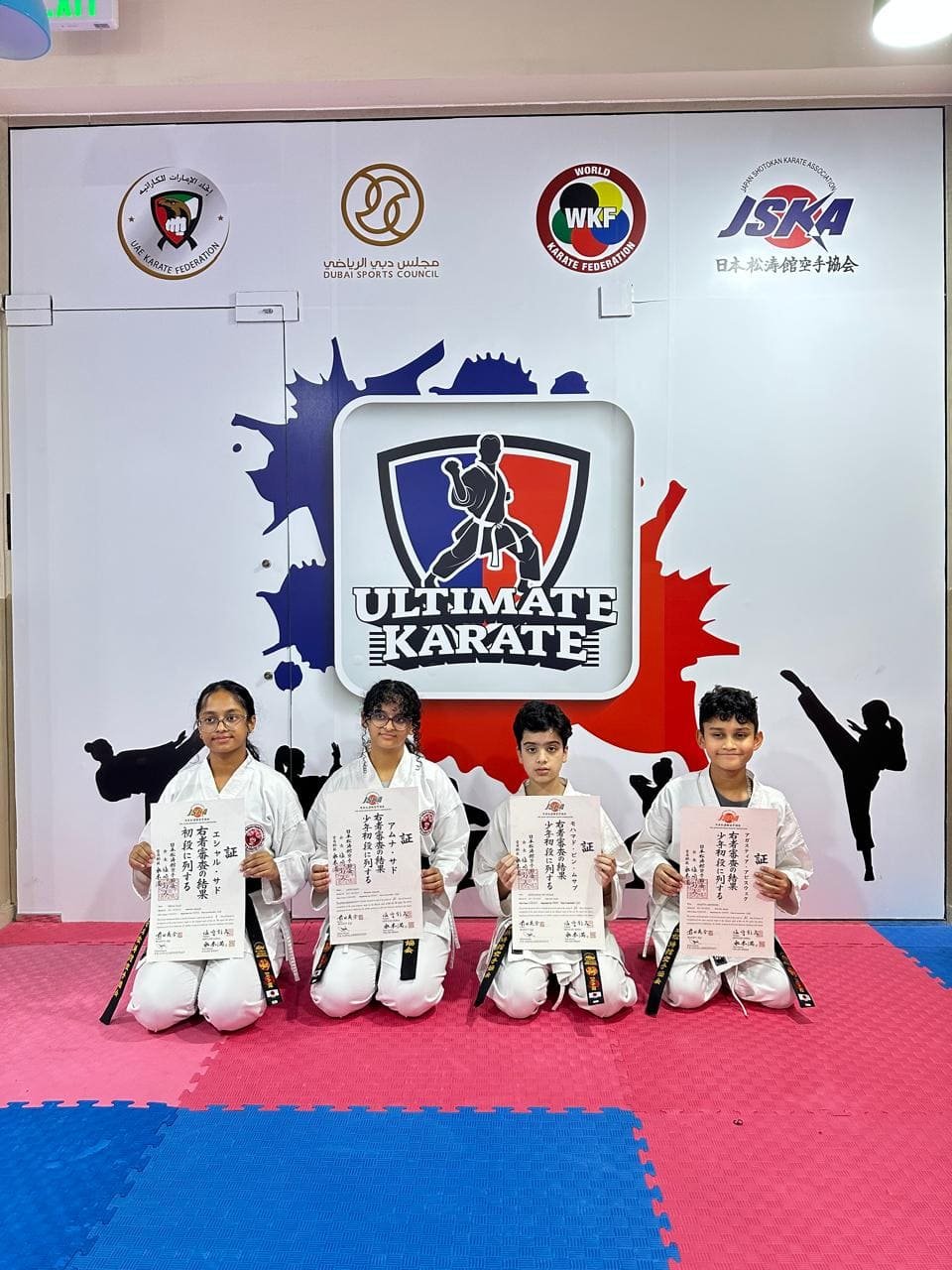 Ultimate Karate