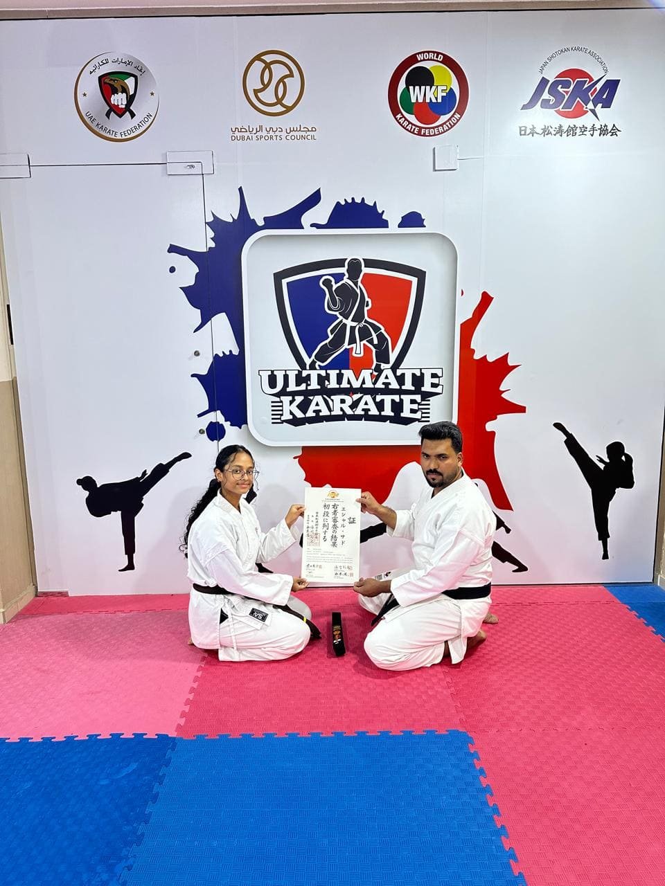 Ultimate Karate