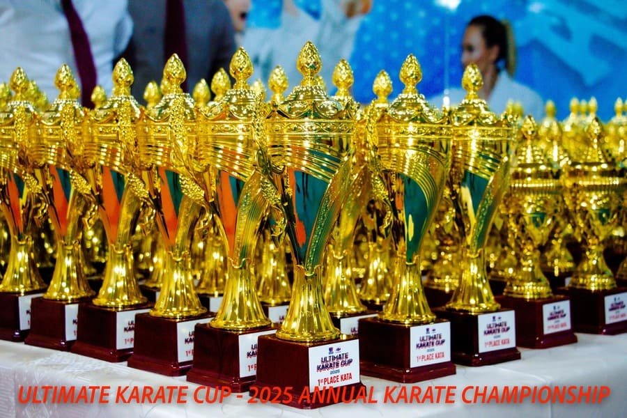 Ultimate Karate