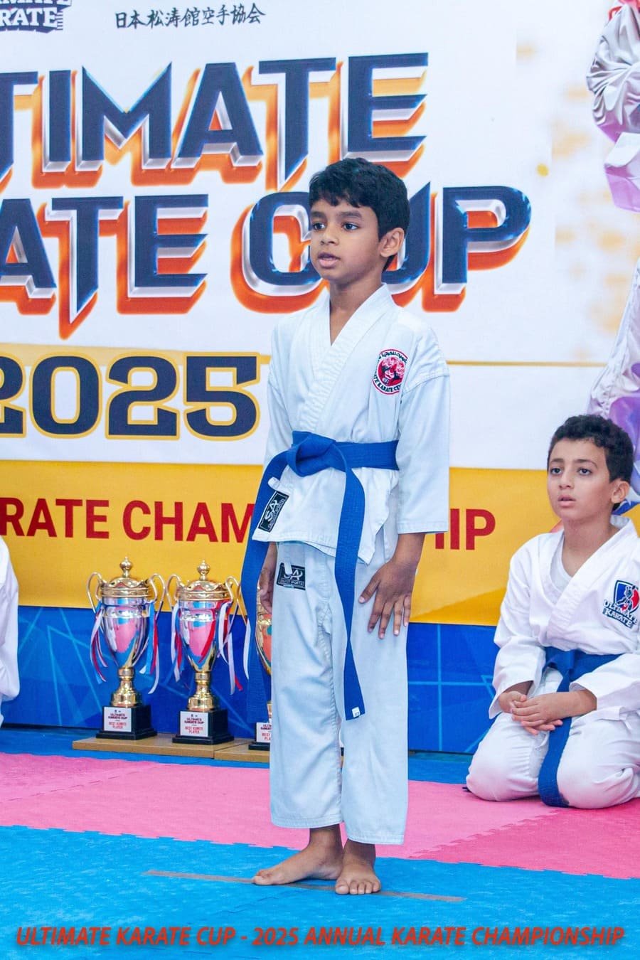 Ultimate Karate
