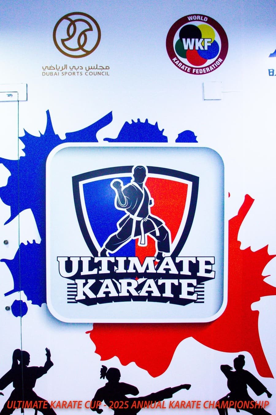 Ultimate Karate