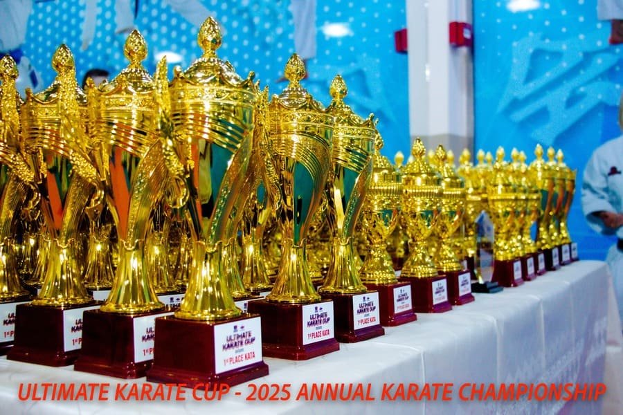 Ultimate Karate